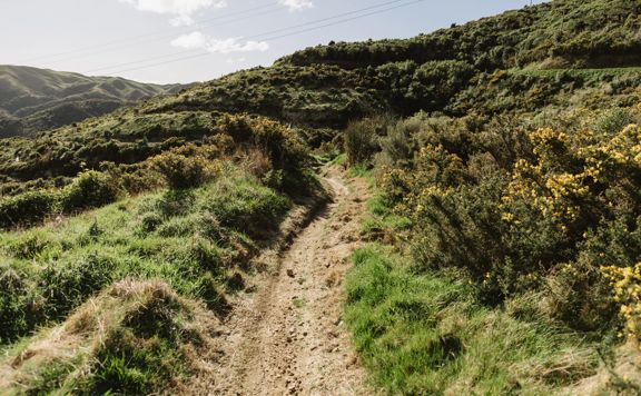Electric Avenue track at Belmont Regional Park.