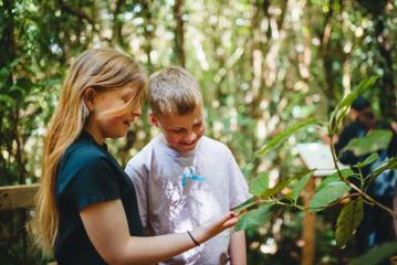 Two kids inspect a leafy branch while exploring Zealandia.