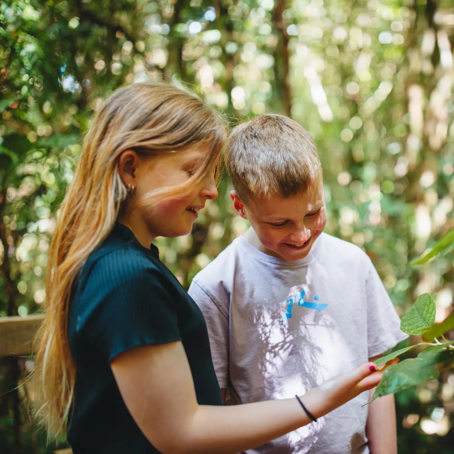 Two kids inspect a leafy branch while exploring Zealandia.