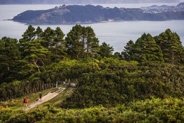 A birdseye view of three hikers walking along the Skyline Walkway in Wellington.