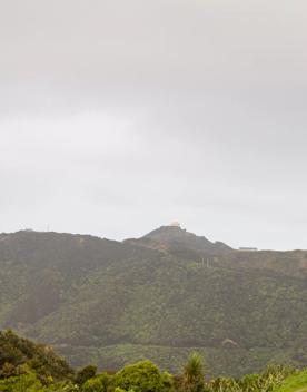 The Brooklyn Wind Turbine sits on a hill above Wellington, with views of the city. Bush and trees surround the area.