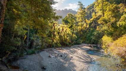 A birdseye view of two people sitting on a beach at Remutaka Forest Park, Wainuiomata, New Zealand.