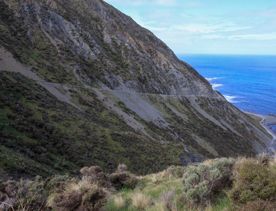 Long Gully Bush Reserve comprises 107 hectares of regenerating forest. It sits roughly 5 kilometres southwest of Wellington City, surrounded by the suburbs of Karori and Brooklyn.
