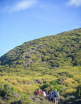 A group of people and tour guide walk along Boulder Bank Loop Track on Kapiti Island.