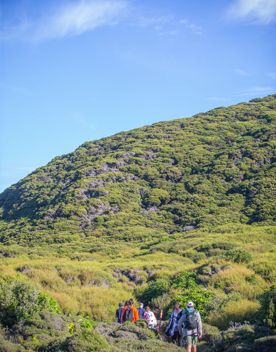 A group of people and tour guide walk along Boulder Bank Loop Track on Kapiti Island.