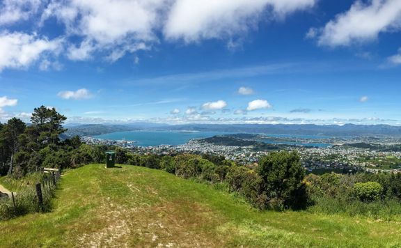 Panoramic view over Wellington city from ontop of a hill. Grass in the foreground is bright green, and the sky is deep blue with only a few clouds.