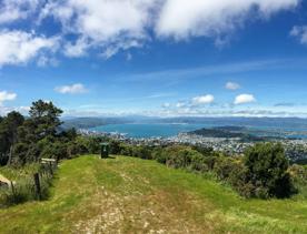 Panoramic view over Wellington city from ontop of a hill. Grass in the foreground is bright green, and the sky is deep blue with only a few clouds. 