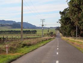 The rural Western Lake road, which connects the Remutaka Range to Lake Wairarapa, features lush green fields and mountains.