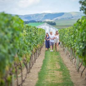 Three people walking through the green vineyards in the Wairarapa region