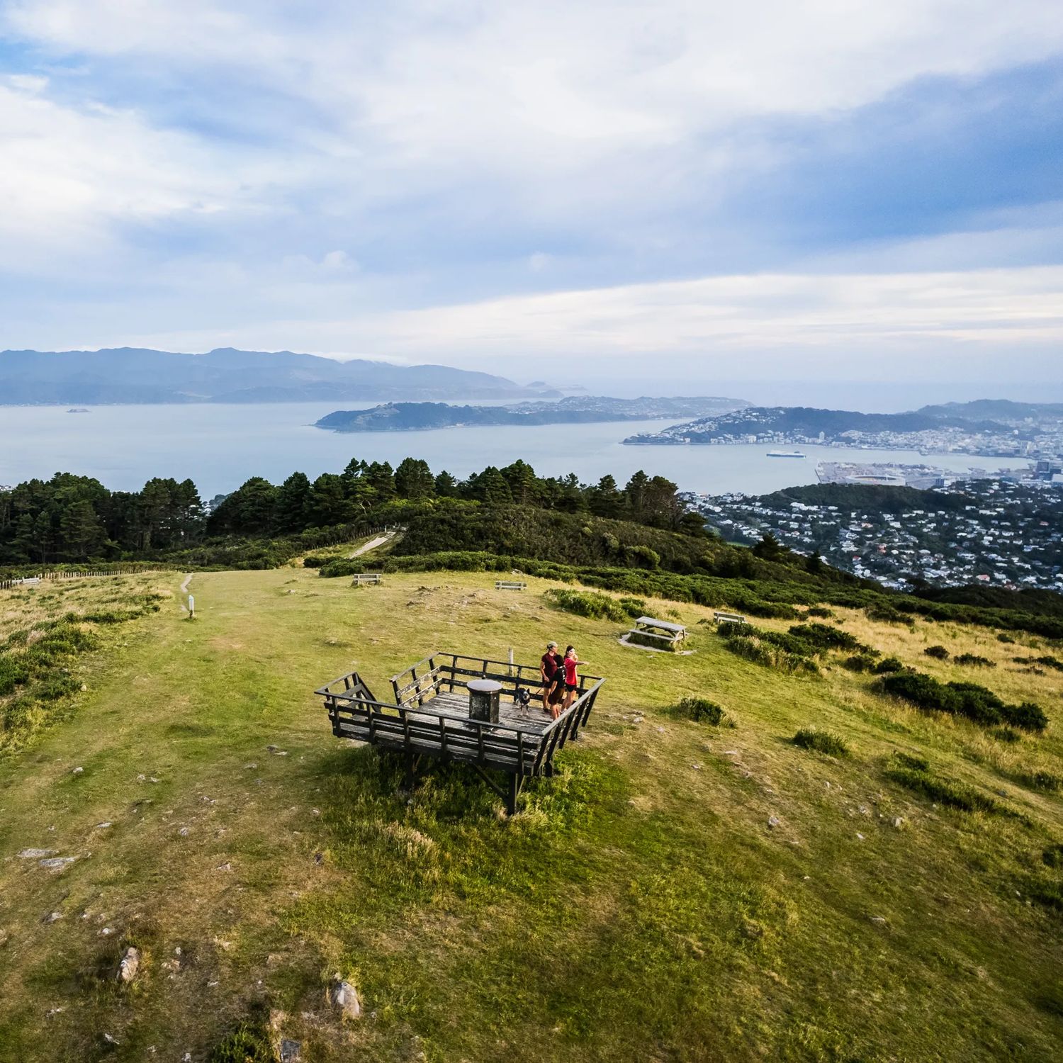 The view over the Wellington Harbour and city from Mount Kaukau/ Tarikākā on the Skyline Walkway.