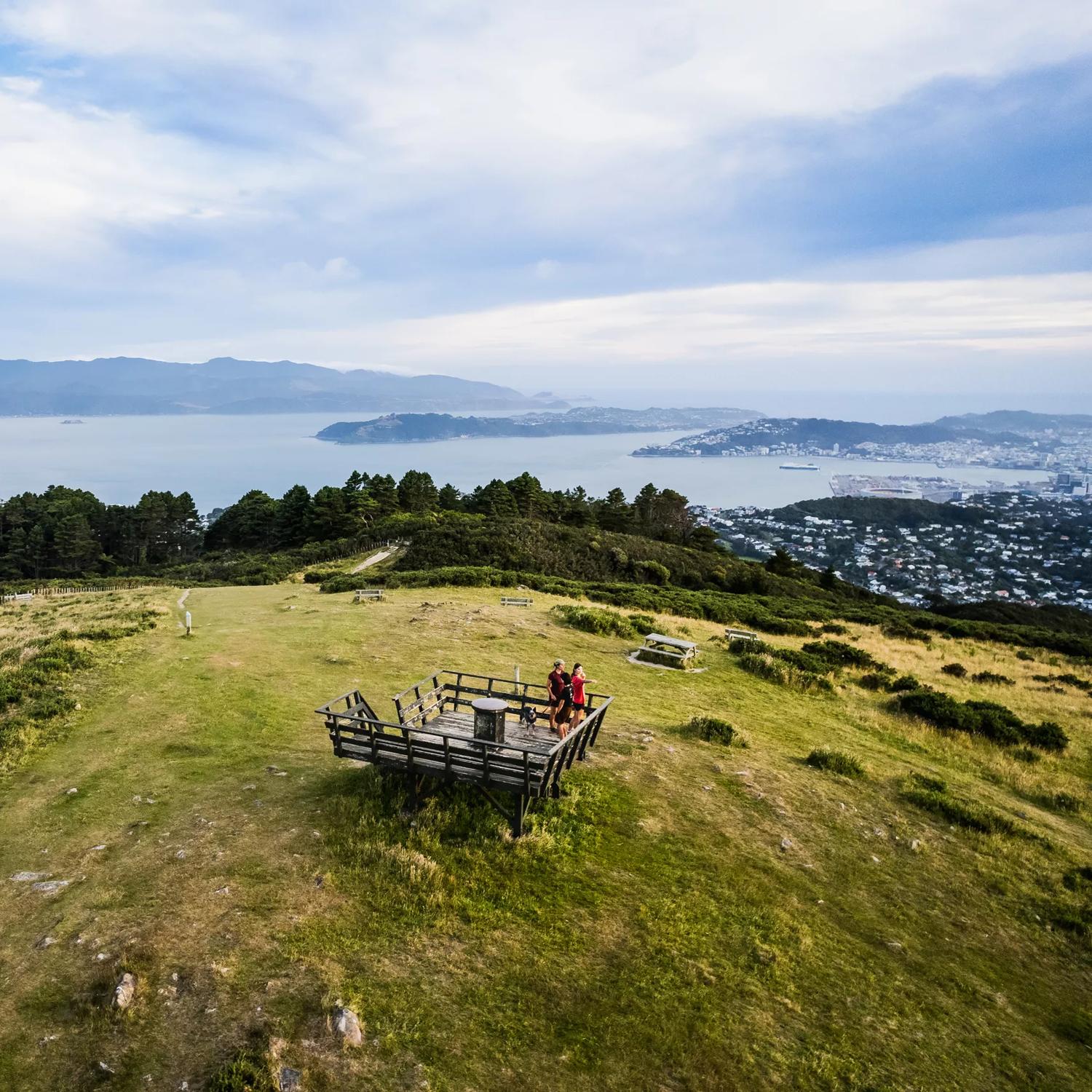 The view over the Wellington Harbour and city from Mount Kaukau/ Tarikākā on the Skyline Walkway.