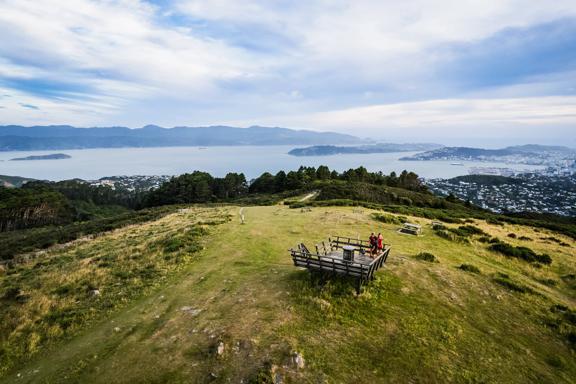 The view over the Wellington Harbour and city from Mount Kaukau/ Tarikākā on the Skyline Walkway.