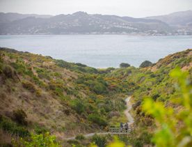 Two people far away from camera walking along Te Onepoto trail in Porirua. Walking canes are assisting both. The harbour and hills of Porirua are in the background.