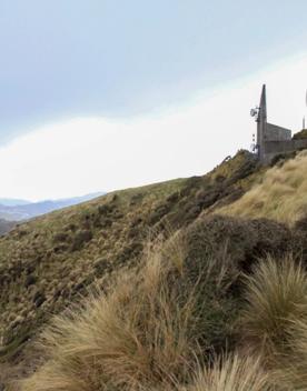 Long Gully Bush Reserve comprises 107 hectares of regenerating forest. It sits roughly 5 kilometres southwest of Wellington City, surrounded by the suburbs of Karori and Brooklyn.