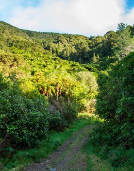 Camp Wainuiomata screen location. Has several buildings and is surrounded by forest and bush.