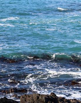 Breaker Bay on a sunny day, blue and green waves crashing on the stoney shore, with green cliffs surrounding.