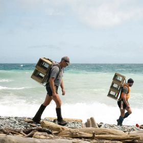 Two people laying traps along Wellington’s wild coast