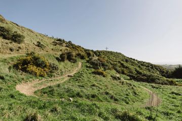 A section of the Chimney Sweep trail in Ngā Ara o Rangituhi. For mountain bikers only, the dirt track winds down a grassy hill overlooking Porirua.