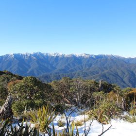 The view of the snow-topped Tararua Range from the Kapakapanui Track.