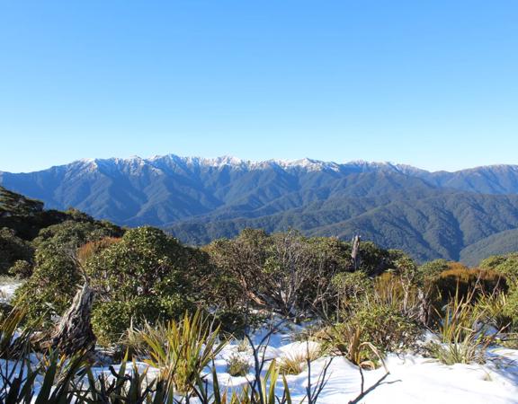 The view of the snow-topped Tararua Range from the Kapakapanui Track.