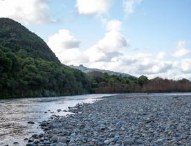 The Taitā Rock swimming hole in Lower Hutt, with lush green bush surrounding a blue river and large pebbles on the shore.