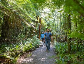 Three people walking along a gravel trail, surrounded by forest.