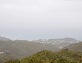 The Brooklyn Wind Turbine sits on a hill above Wellington, with views of the city. Bush and trees surround the area.