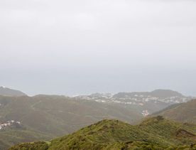 The Brooklyn Wind Turbine sits on a hill above Wellington, with views of the city. Bush and trees surround the area.