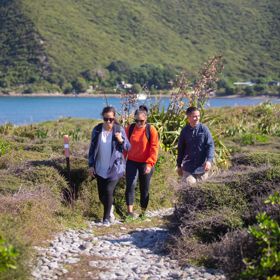 Three people walk along a nature trail on Kapiti Island.