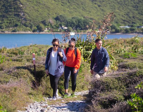 Three people walk along a nature trail on Kapiti Island.