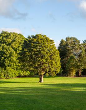 A well-equipped and popular outdoor space for families in Upper Hutt. On the edge of Te Awa Kairangi, Hutt River, Harcourt Park in Upper Hutt is a 40-minute drive north of Wellington.