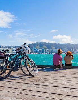 Two electric bikes from Switched On Bikes sitting on the Wellington waterfront, with two people sitting nearby enjoying the view of the city.