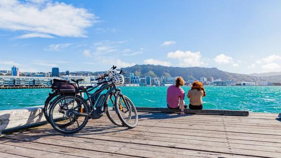 Two electric bikes from Switched On Bikes sitting on the Wellington waterfront, with two people sitting nearby enjoying the view of the city.