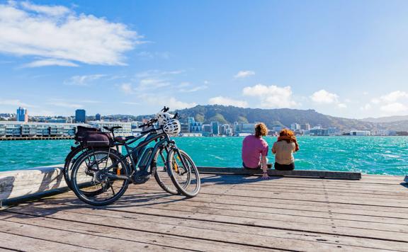 Two electric bikes from Switched On Bikes sitting on the Wellington waterfront, with two people sitting nearby enjoying the view of the city.