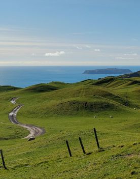 A short drive from the city is a stunning venue. Perched on a rugged coastline, it has sweeping views over the Cook Strait and the South Island.