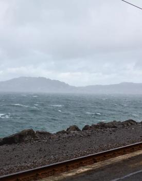 Ngauranga train station