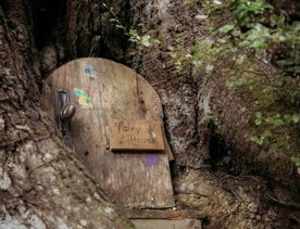 The tiny arched door to a Fairy House is nestled between roots at the base of a tree in the Fairy Forest at Horoeka Scenic Reserve.