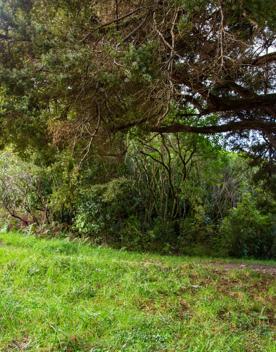 Camp Wainuiomata screen location. Has several buildings and is surrounded by forest and bush.