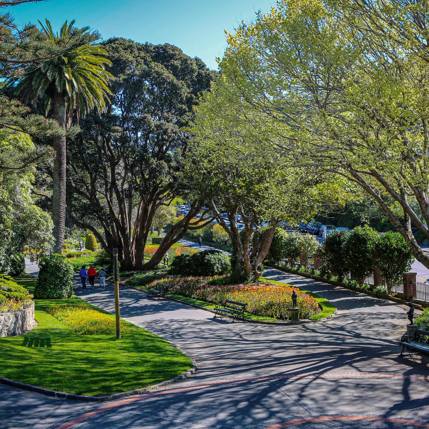 Wide tarsealed pathways surrounded by trees and plants, with people walking in Wellingtons Botanic Gardens.