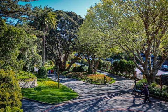 Wide tarsealed pathways surrounded by trees and plants, with people walking in Wellingtons Botanic Gardens.