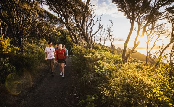 Four people walk along the ride on Bus Barn Track, from the Butterfly Creek Loop. The setting sun shines through the native trees.