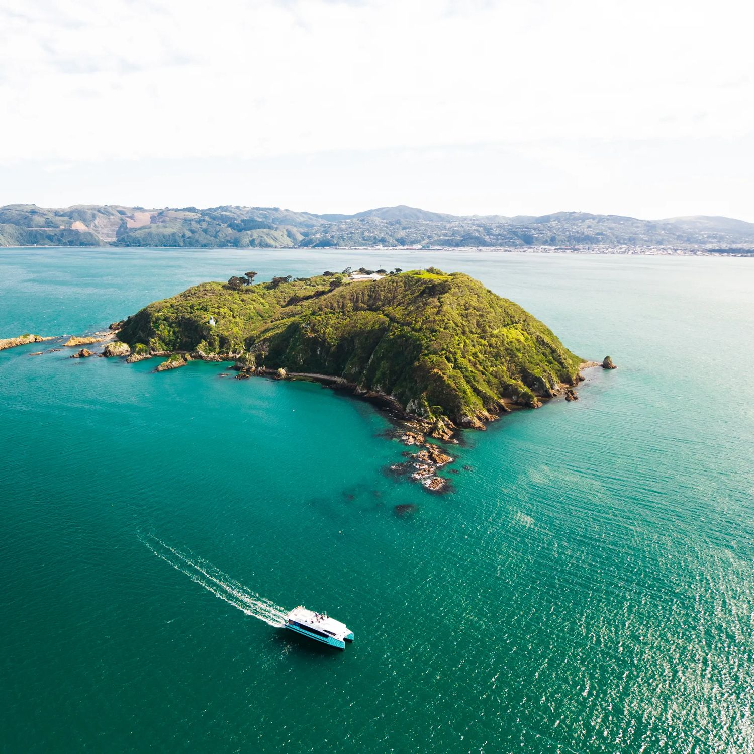 Matiu/Somes Island in Wellington Harbour, viewed from above with a ferry travelling across turquoise water towards the island.