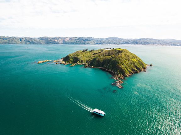 Matiu/Somes Island in Wellington Harbour, viewed from above with a ferry travelling across turquoise water towards the island.