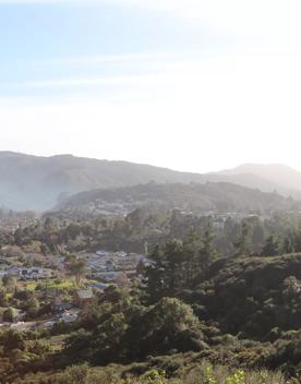 Mangaroa Valley Road screen location, a scenic rural setting with native forest, farmland, and a mountainous backdrop.