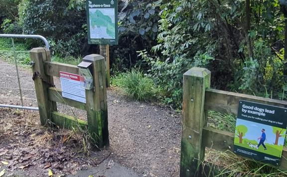 Wooden fence with an opening at the trailhead of Te-Ngahere-o-Tawa.