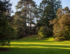 A well-equipped and popular outdoor space for families in Upper Hutt. On the edge of Te Awa Kairangi, Hutt River, Harcourt Park in Upper Hutt is a 40-minute drive north of Wellington.