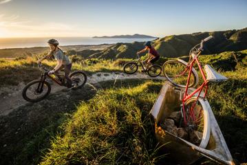 Two bikers rounding a corner on the MTB No.2 track on Whareroa Farm. In the background are Kapiti Island and coastal hills.