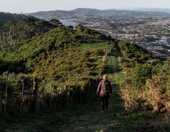 A person walks away from the camera down a grassy hill on the Seven Pines track in Ngā Ara o Rangituhi. In the background are Porirua and Pāuatahanui Inlet.