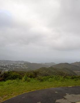 The Brooklyn Wind Turbine sits on a hill above Wellington, with views of the city. Bush and trees surround the area.