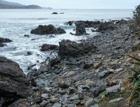 This clothing-optional beach is a good spot for scenic walks and wildlife spotting. At the western entrance of Wellington Harbour, picturesque Breaker Bay beach is part of the Oruaiti Reserve.